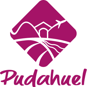 Municipalidad de Pudahuel